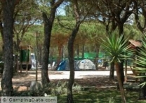 Camping Doñana Playa in 21130 Mazagon / Huelva