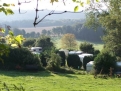 Camping de Durnal - Le Pommier Rustique*** in 5530 Durnal / Wallonia