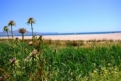Camping Amfora in 17470 Sant Pere Pescador / Katalonien