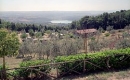 Camping Il Falcone in 05020 Civitella del Lago / Umbrien