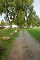 schöner alter Baumbestand