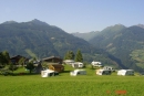 Bauerncamping Oberhasenberghof in 5660 Taxenbach / Zell am See