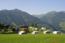 Bauerncamping Oberhasenberghof in 5660 Taxenbach / Salzburg