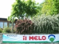 CAMPING IL MELO in 12016 Peveragno / Cuneo