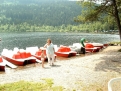 Natur-Campingplatz Weiherhof am Titiseeufer in 79822 Titisee-Neustadt / Baden-Württemberg