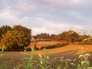 La Montgarnie in 71160 Gilly-sur-Loire / Saône-et-Loire
