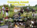 Camping Amedi in 3658 Borsodbóta