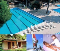 International Camping Mare Pineta in 44024 Lido Spina / Emilia-Romagna