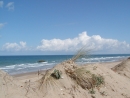 Düne, Strand