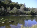 The Garonne River