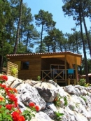 wooden chalet