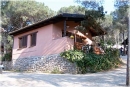 Bungalow Insel Elba