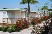 Camping Playa Cambrils Don Camilo in 43850 Cambrils / Tarragona