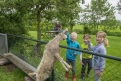 Boerderij Hazenveld mini-camping/B&B*** in 3628 Kockengen / Utrecht