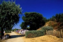 Beauregard-Est in 34340 Marseillan / Hérault