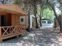 Camping Barraquetes in 46410 Sueca / Landes Valencia