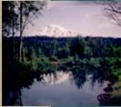 Elk Meadows Rv Park in 98650 Trout Lake / Klickitat