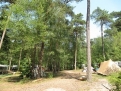 Natuurcamping Fazantenhof in 3739 Hollandsche Rading / De Bilt