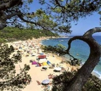 Camping Internacional De Calonge in 17251 Calonge / Girona