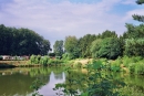 Teich