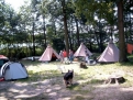Campingplatz am Gobenowsee in 17255 Drosedow / Mecklenburg-Vorpommern