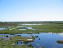 Goldenstedt Moor