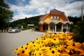 Campingplatz Kleinenzhof in 75323 Bad Wildbad im Schwarzwald / Baden-Württemberg