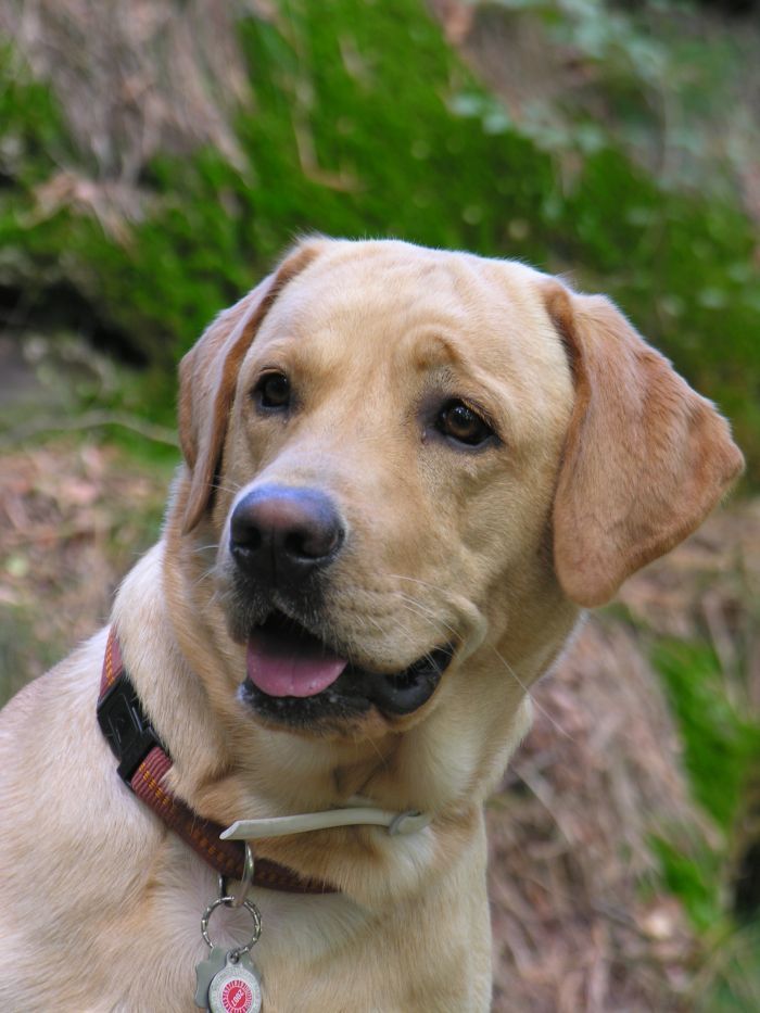 Hier klicken, um alle Bilder der Galerie betrachten zu können. Hier klicken, um alle Bilder der Galerie betrachten zu können.