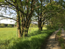 Radwege Ortrand Tour Brandenburg